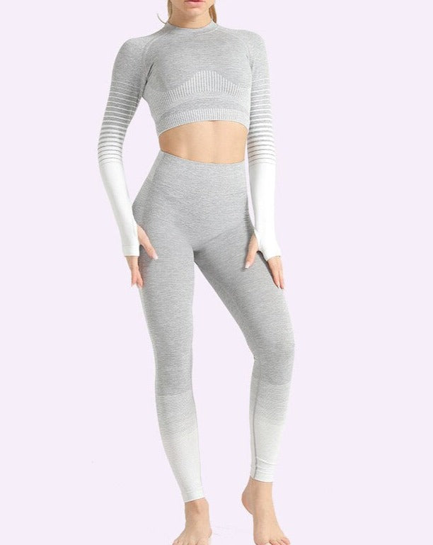 2 Piece Seamless Women Yoga Set Long Sleeve Top High Waist Pants Belly Control Sport Leggings Workout Gym Clothes Seamless Sport Suit OM9253