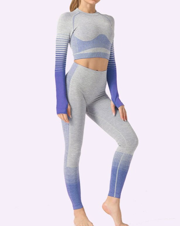 2 Piece Seamless Women Yoga Set Long Sleeve Top High Waist Pants Belly Control Sport Leggings Workout Gym Clothes Seamless Sport Suit OM9253